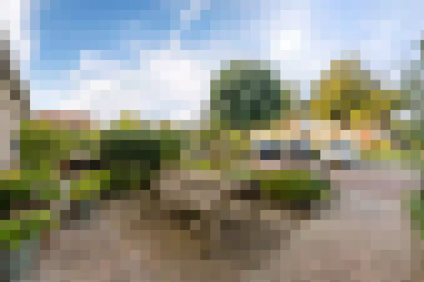Gorechtpad 14 Emmeloord thumbnail 14