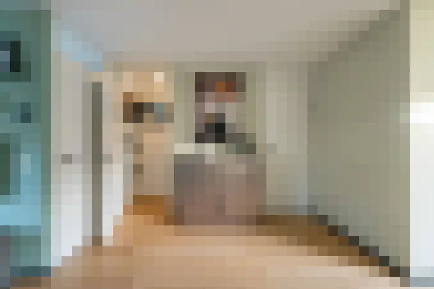 Gorechtpad 14 Emmeloord thumbnail 21