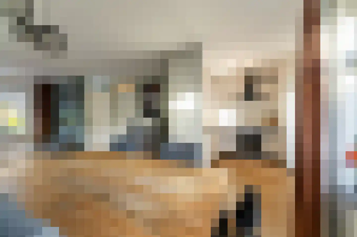 Gorechtpad 14 Emmeloord thumbnail 24