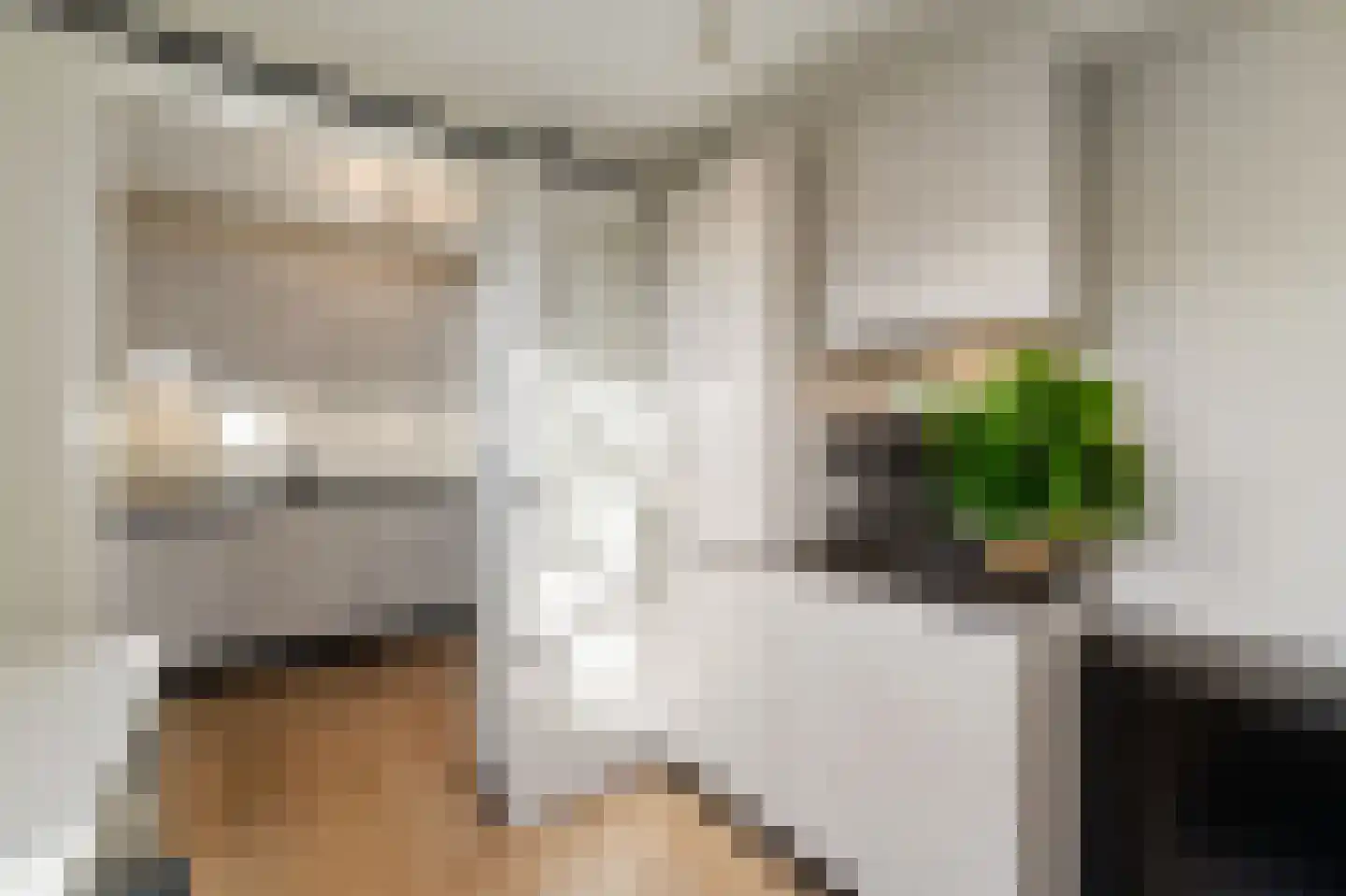 Gorechtpad 14 Emmeloord thumbnail 28