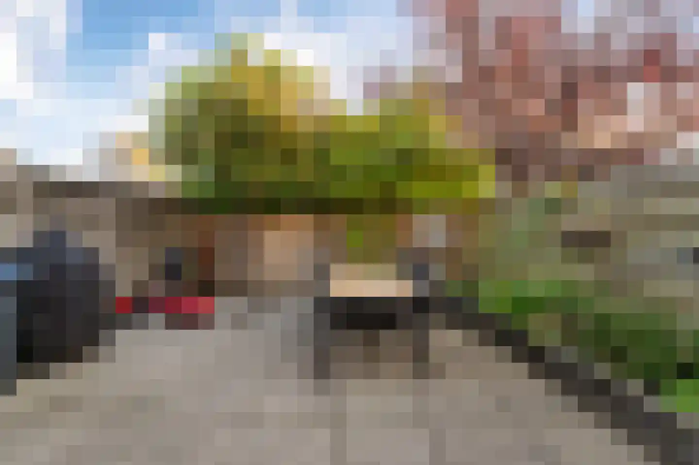 Gorechtpad 14 Emmeloord thumbnail 30