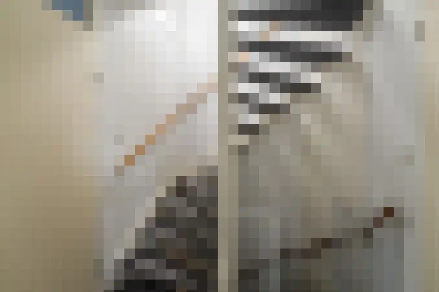 Gorechtpad 14 Emmeloord thumbnail 35