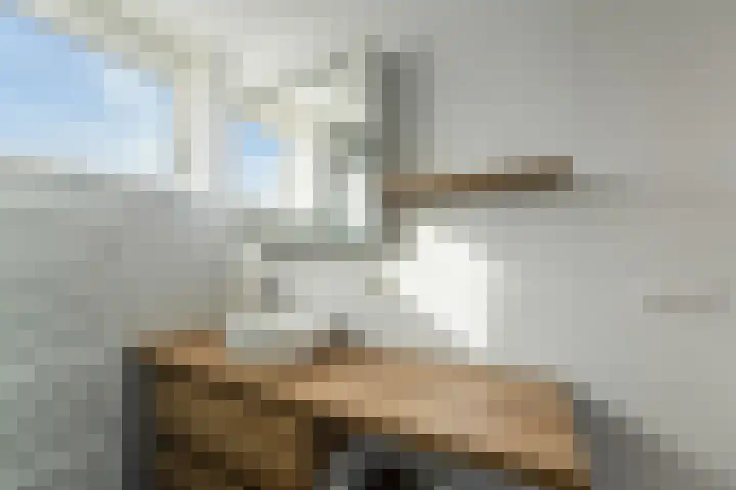 Gorechtpad 14 Emmeloord thumbnail 40