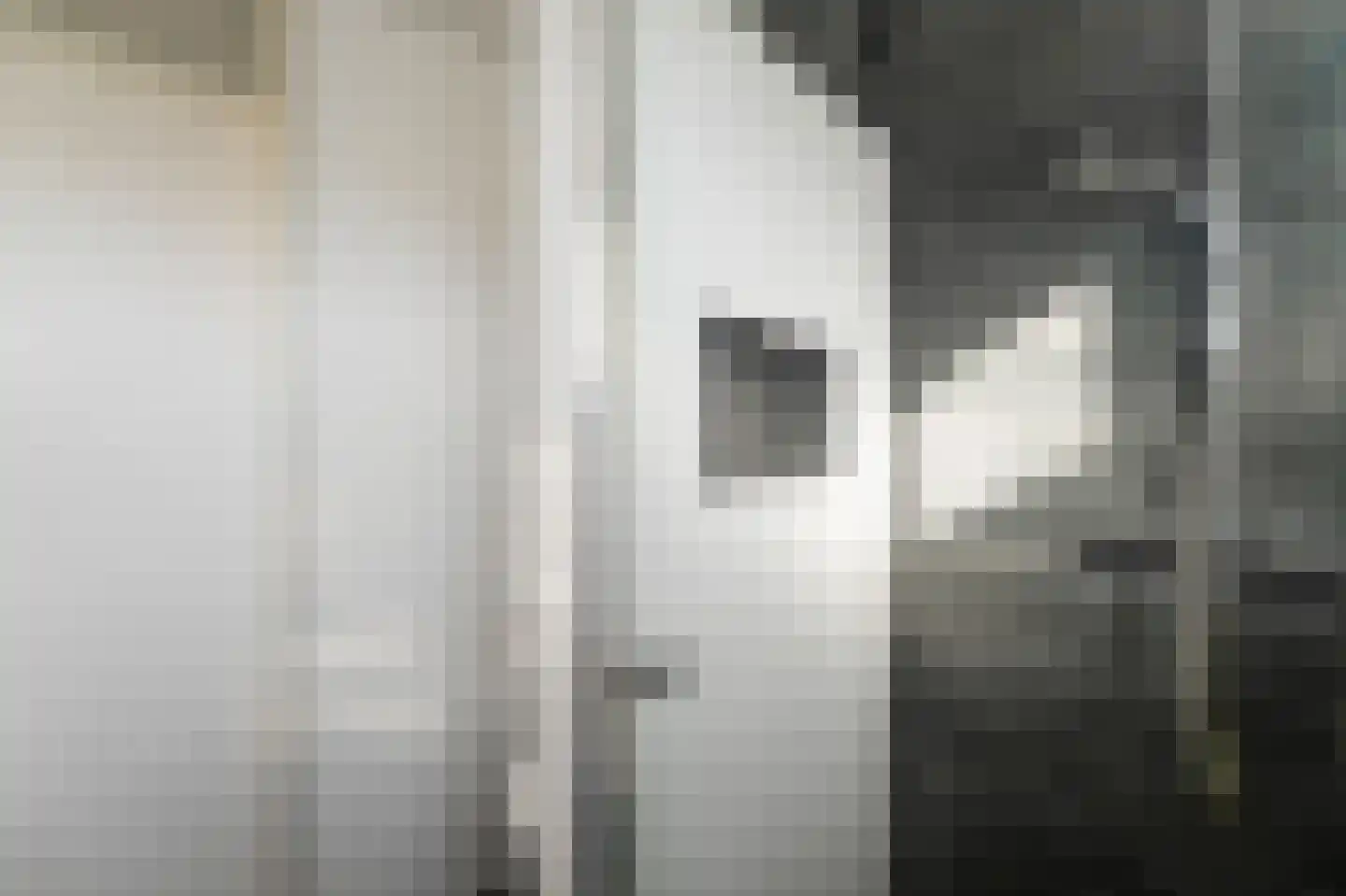 Gorechtpad 14 Emmeloord thumbnail 41
