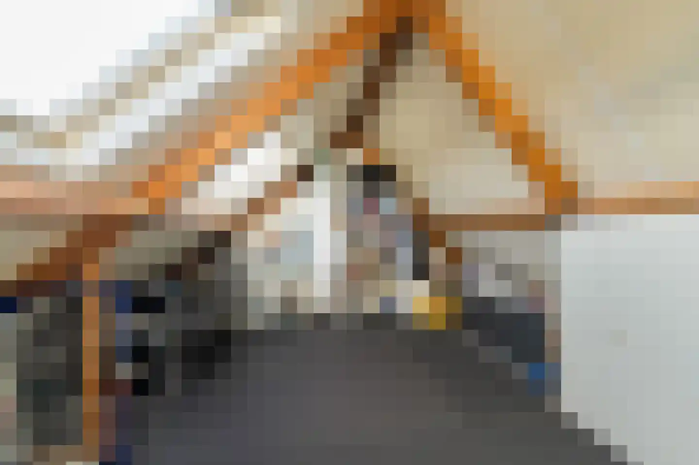 Gorechtpad 14 Emmeloord thumbnail 47