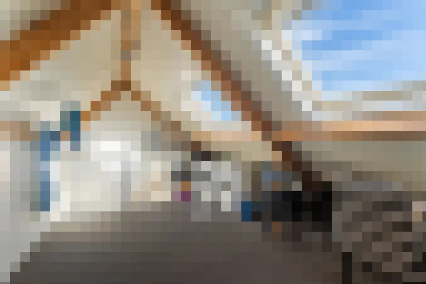 Gorechtpad 14 Emmeloord thumbnail 48