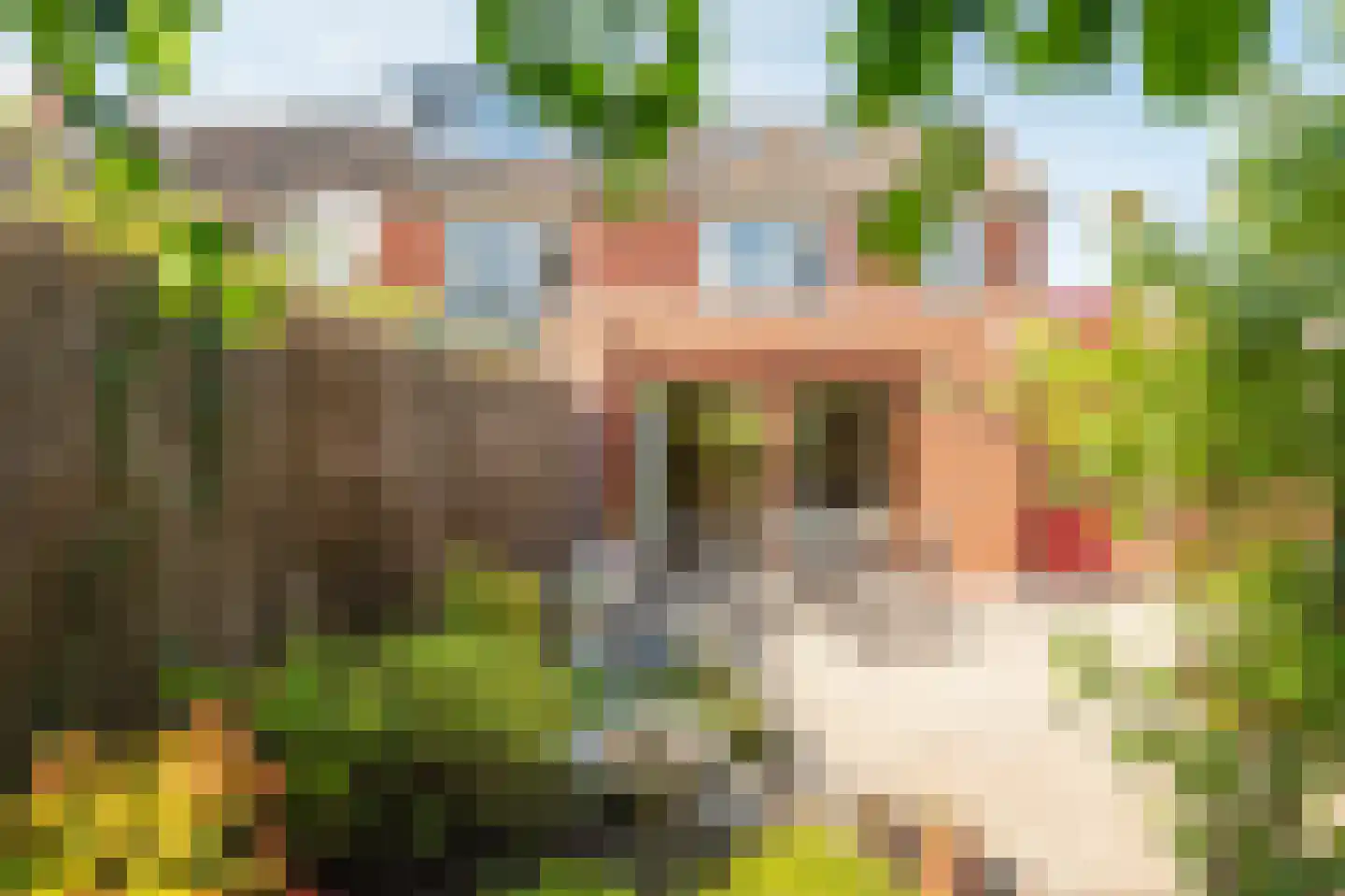 Gorechtstraat 2 Haren Gn thumbnail 40