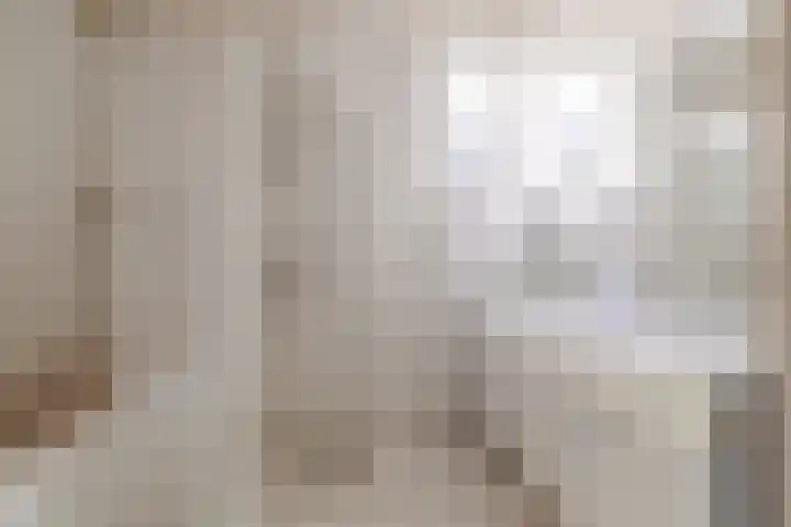Goren 4 Schoonebeek thumbnail 15
