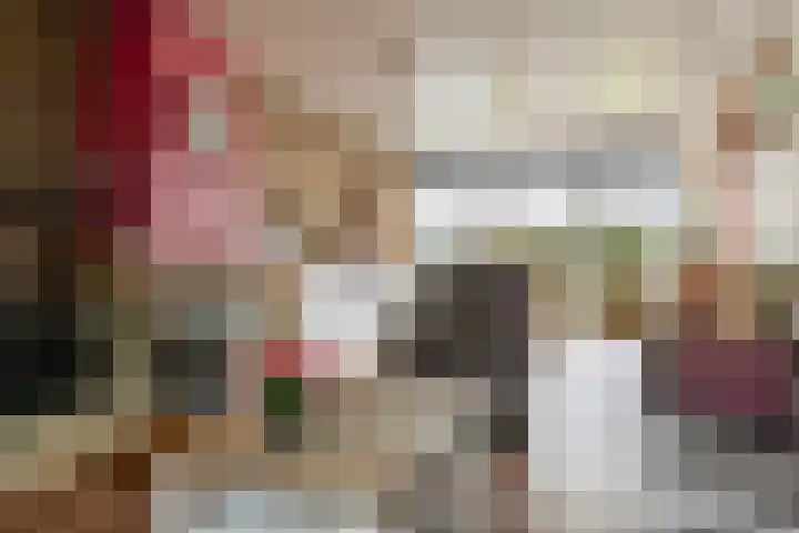 Goren 4 Schoonebeek thumbnail 16