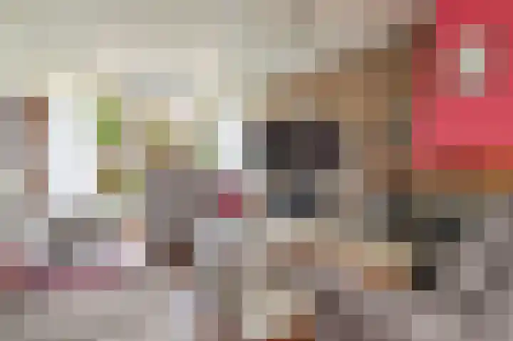 Goren 4 Schoonebeek thumbnail 18