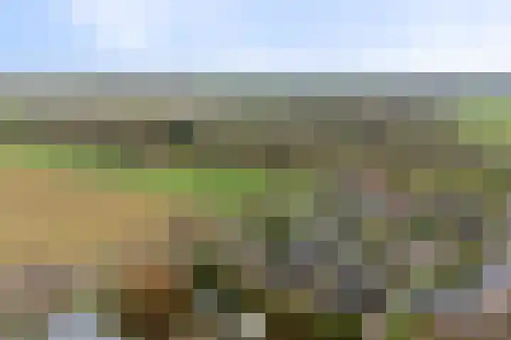 Goren 4 Schoonebeek thumbnail 40