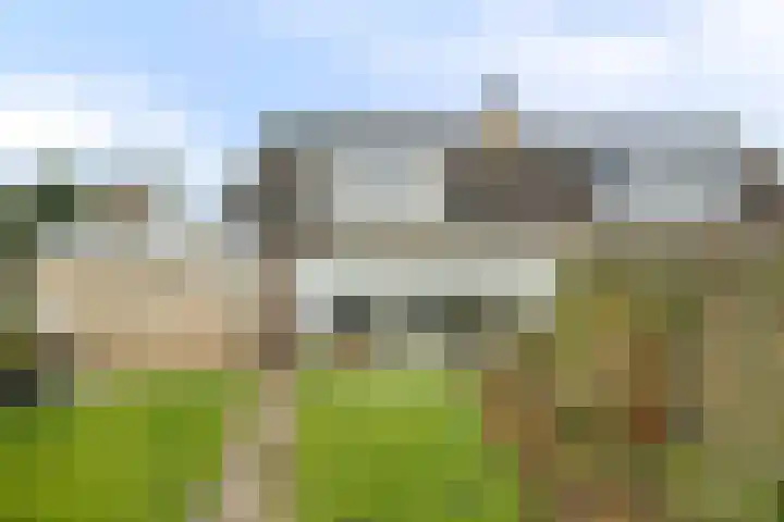 Goren 4 Schoonebeek thumbnail 6