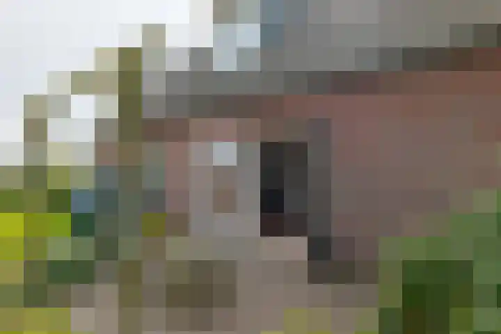 Gorenweg 4 A Buinen thumbnail 34