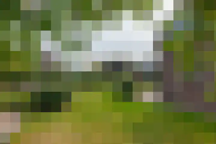 Gorenweg 4 A Buinen thumbnail 36