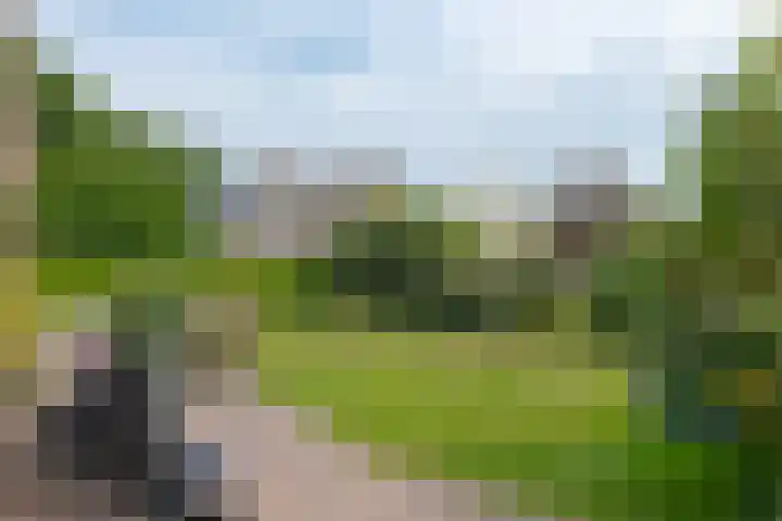 Gorenweg 4 A Buinen thumbnail 39