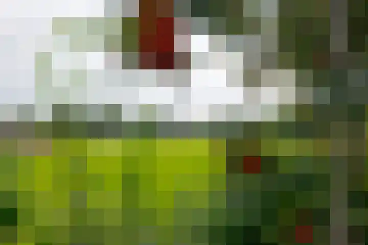 Gorenweg 4 A Buinen thumbnail 40