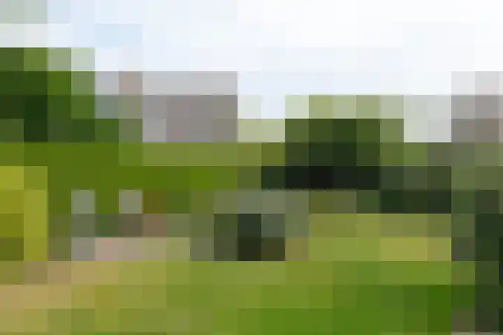 Gorenweg 4 A Buinen thumbnail 41