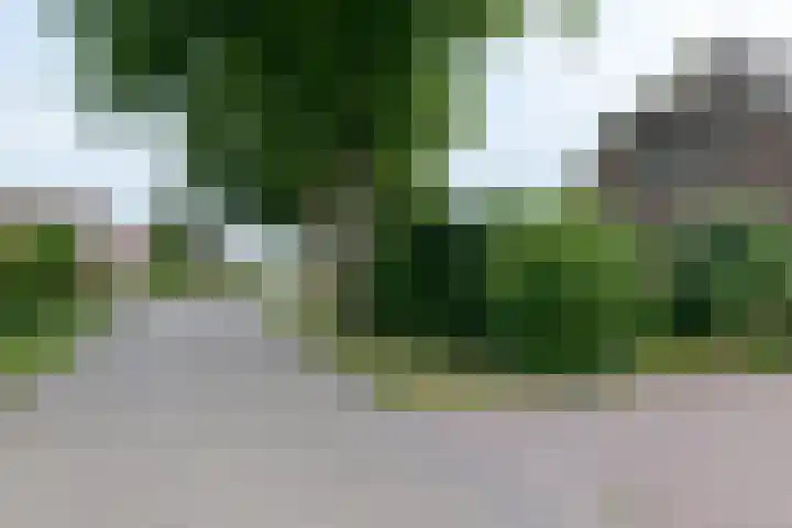 Gorenweg 4 A Buinen thumbnail 43