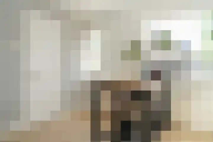 Gorinchemsestraat 58 Meerkerk thumbnail 12