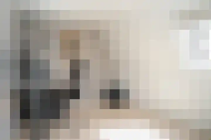Gorinchemsestraat 58 Meerkerk thumbnail 17