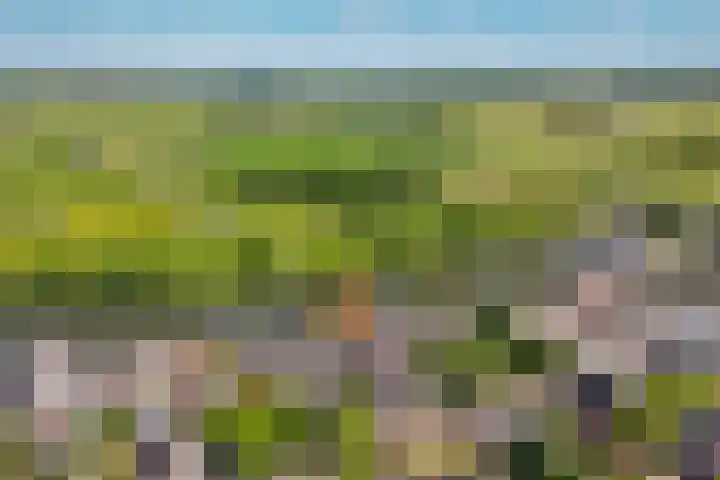 Gorinchemsestraat 58 Meerkerk thumbnail 30