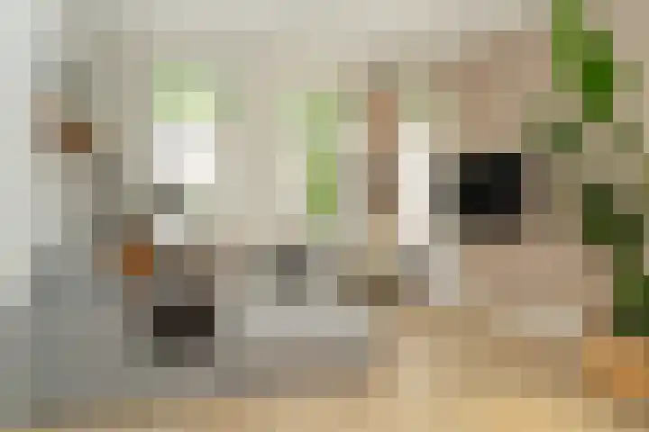 Gorinchemsestraat 58 Meerkerk thumbnail 6