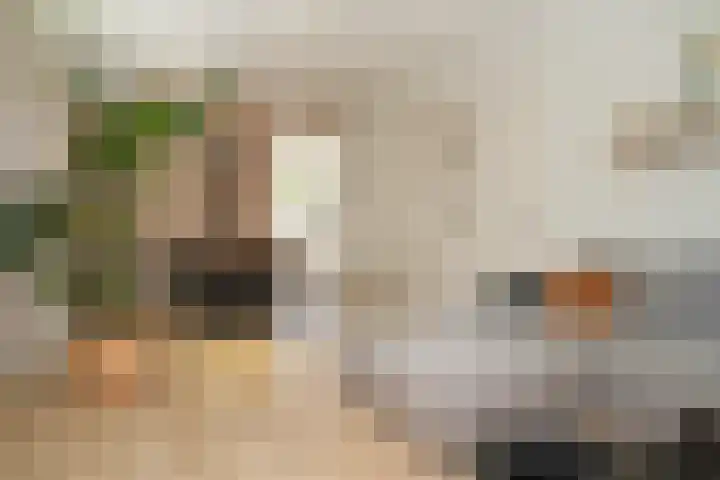 Gorinchemsestraat 58 Meerkerk thumbnail 7