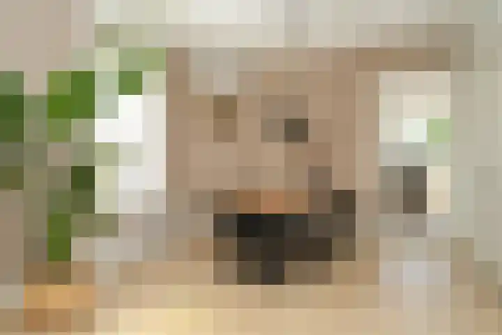 Gorinchemsestraat 58 Meerkerk thumbnail 8