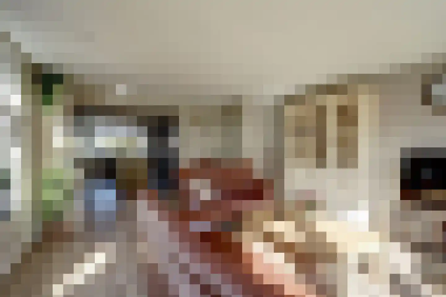 Gorinchemsestraat 77 Meerkerk thumbnail 10