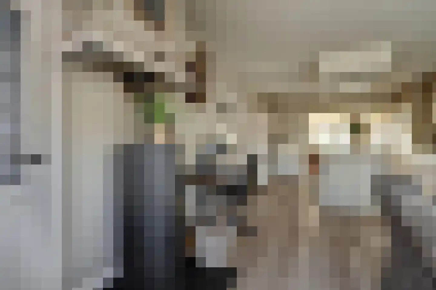 Gorinchemsestraat 77 Meerkerk thumbnail 13