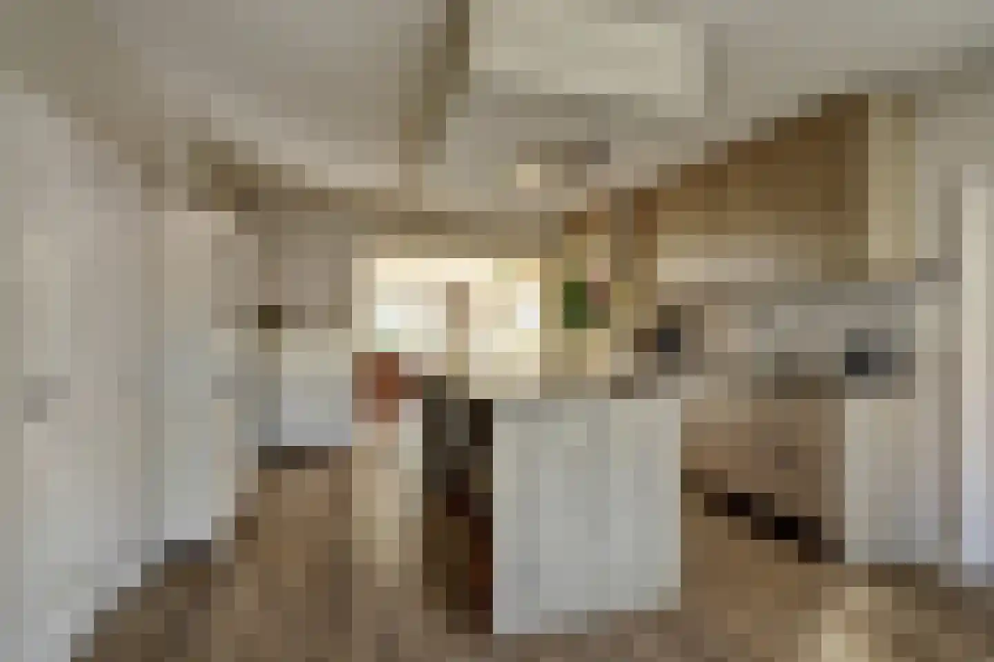 Gorinchemsestraat 77 Meerkerk thumbnail 15