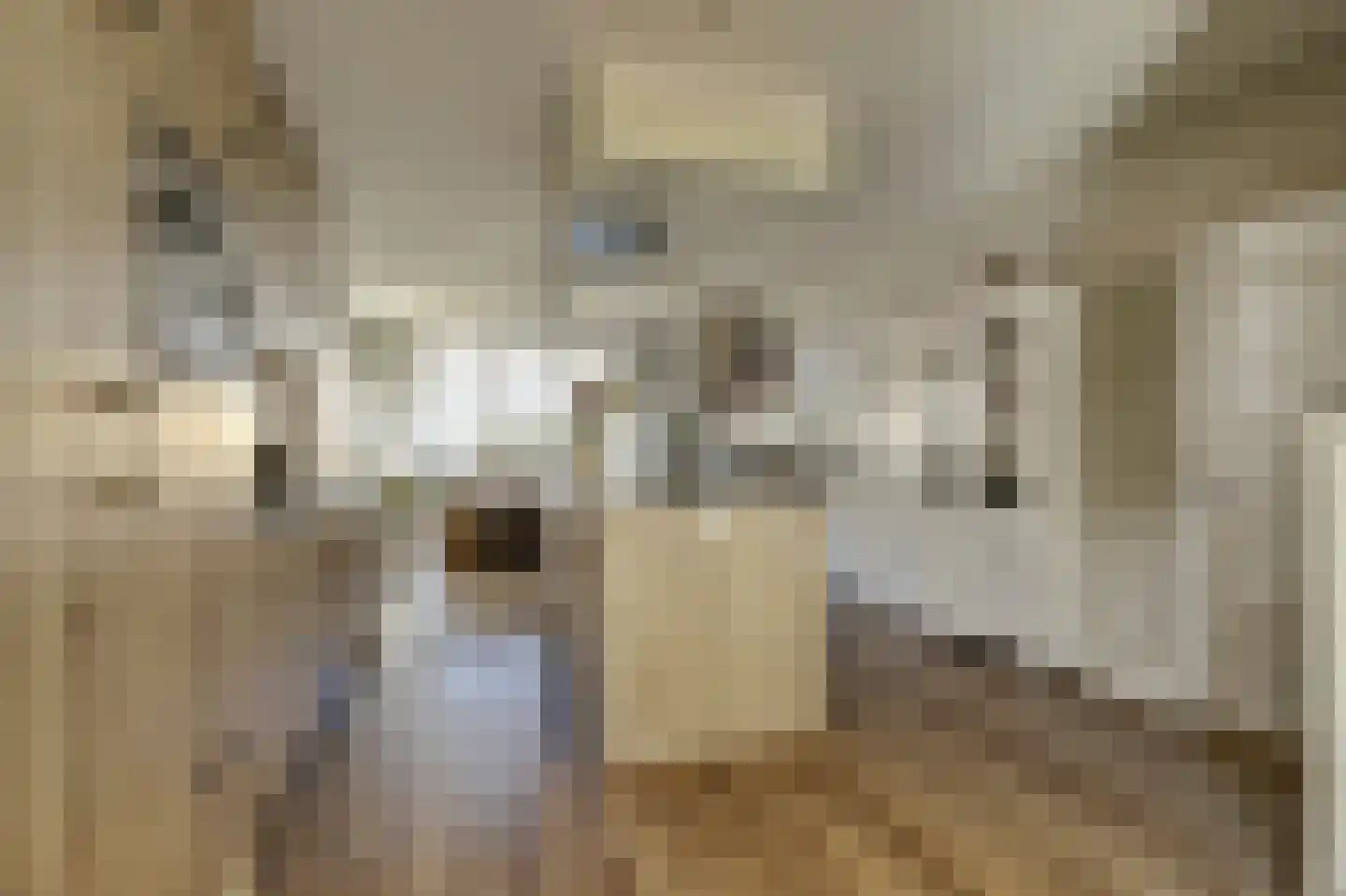 Gorinchemsestraat 77 Meerkerk thumbnail 17