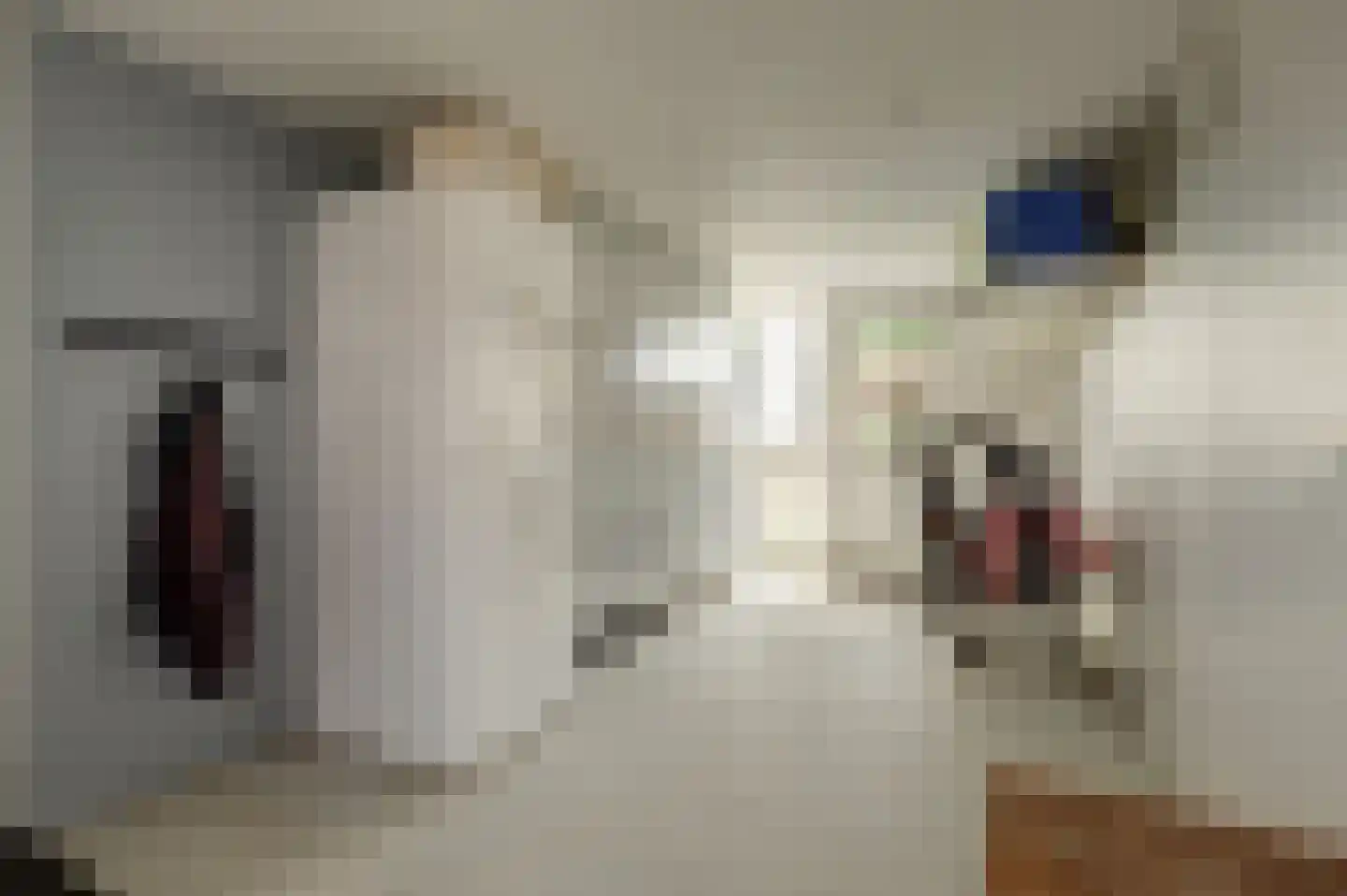 Gorinchemsestraat 77 Meerkerk thumbnail 19
