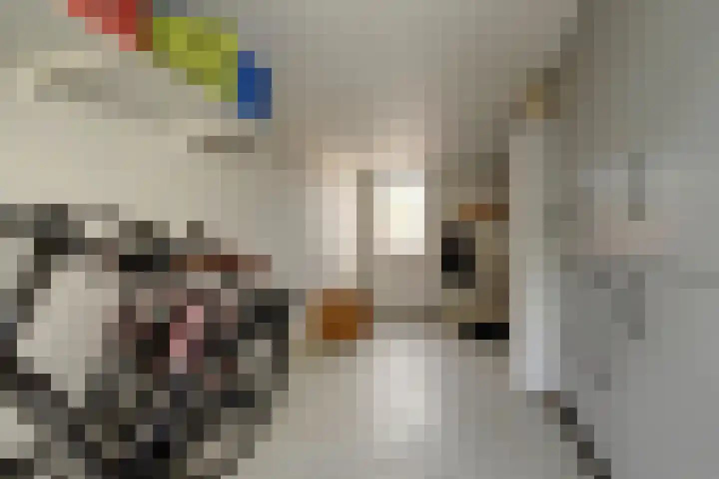 Gorinchemsestraat 77 Meerkerk thumbnail 20