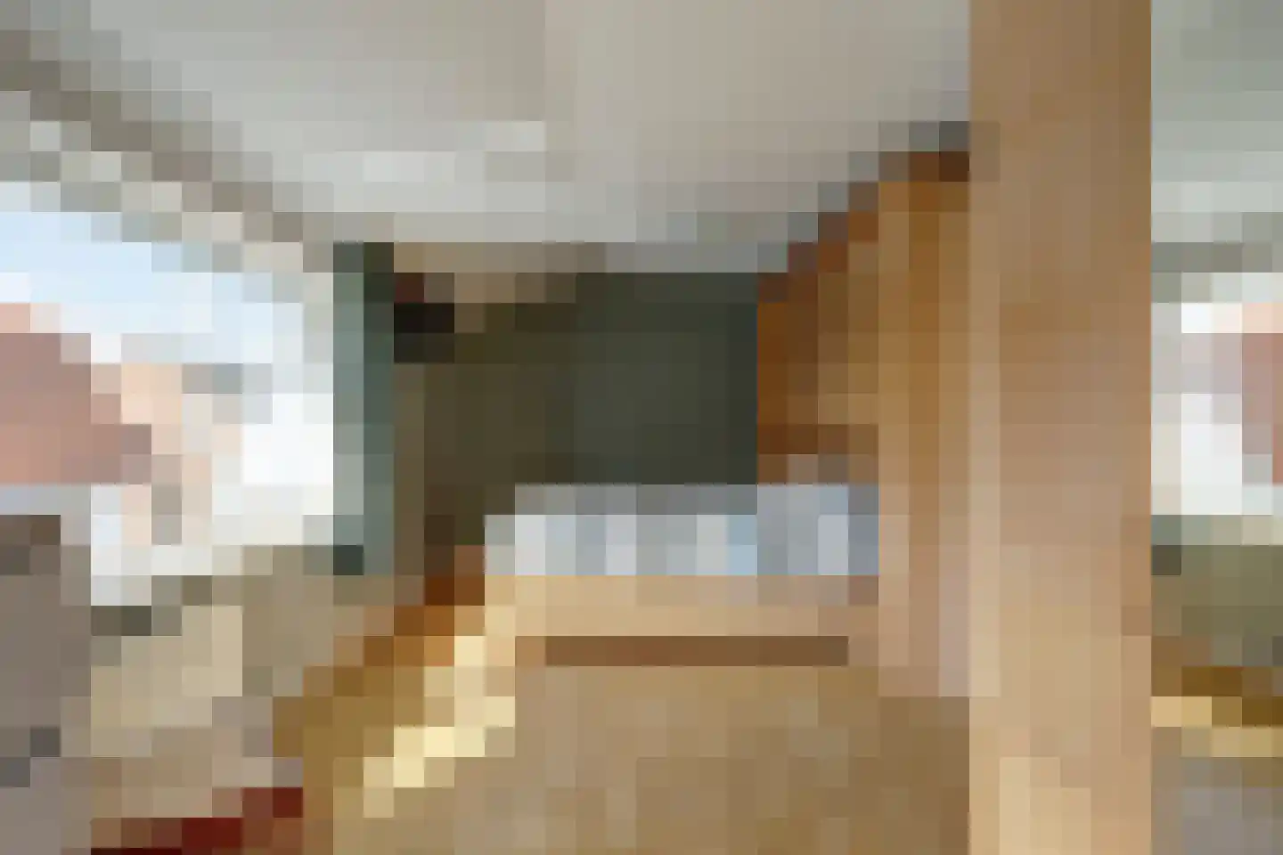 Gorinchemsestraat 77 Meerkerk thumbnail 30
