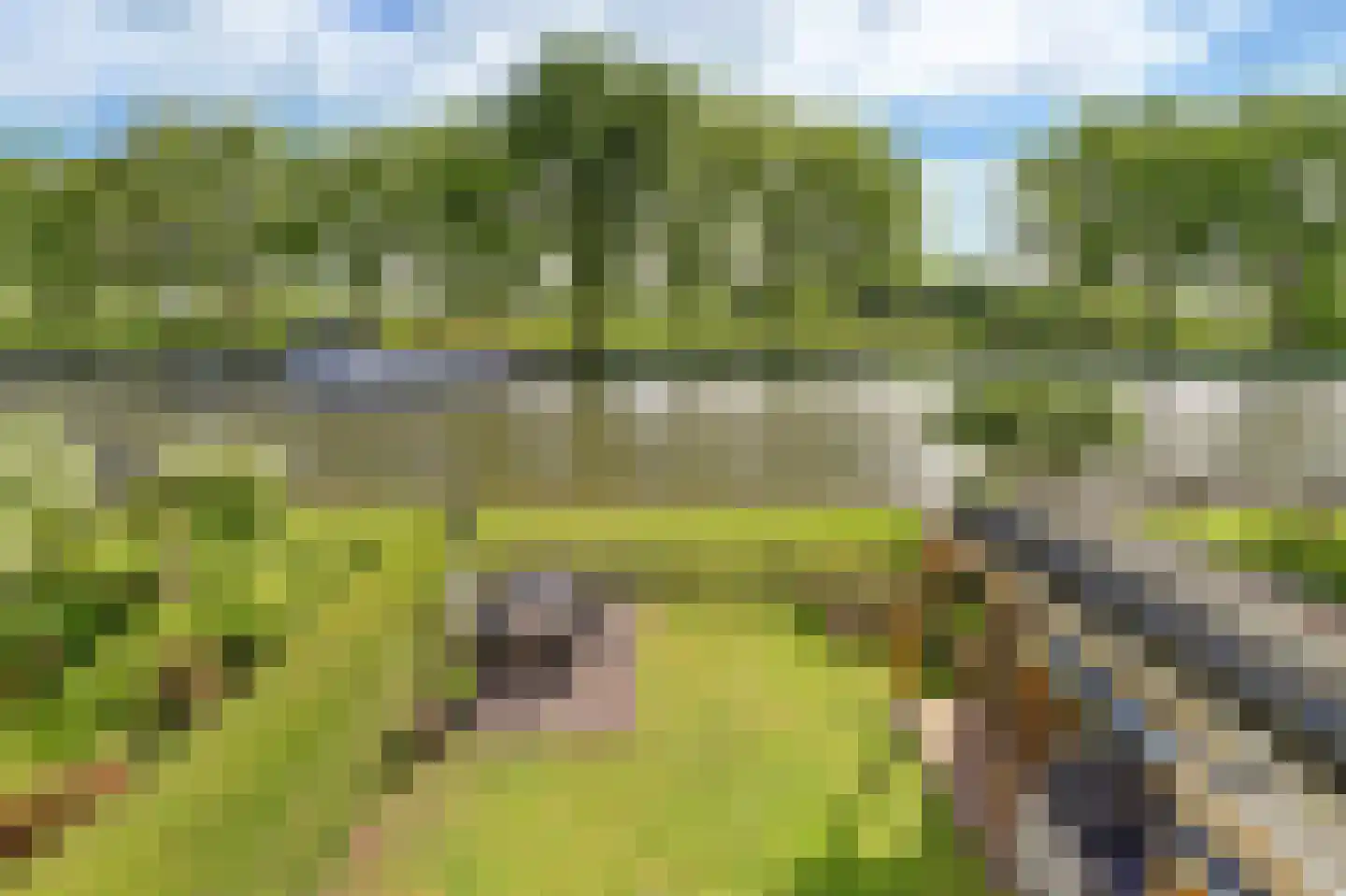 Gorinchemsestraat 77 Meerkerk thumbnail 36