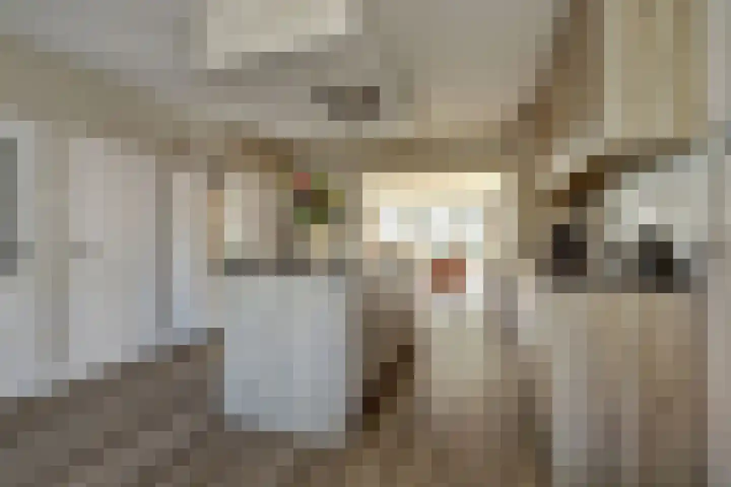 Gorinchemsestraat 77 Meerkerk thumbnail 4