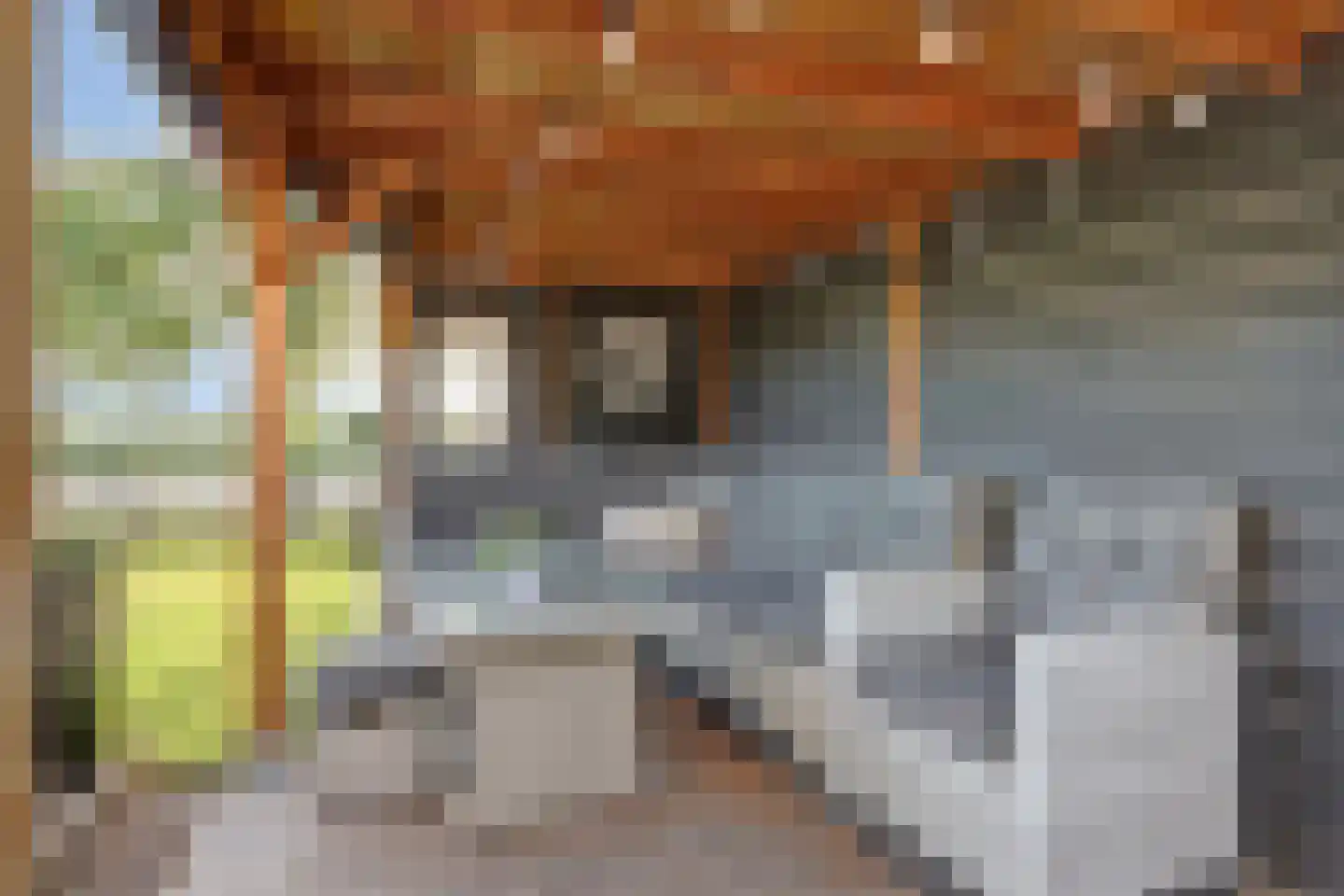 Gorinchemsestraat 77 Meerkerk thumbnail 47