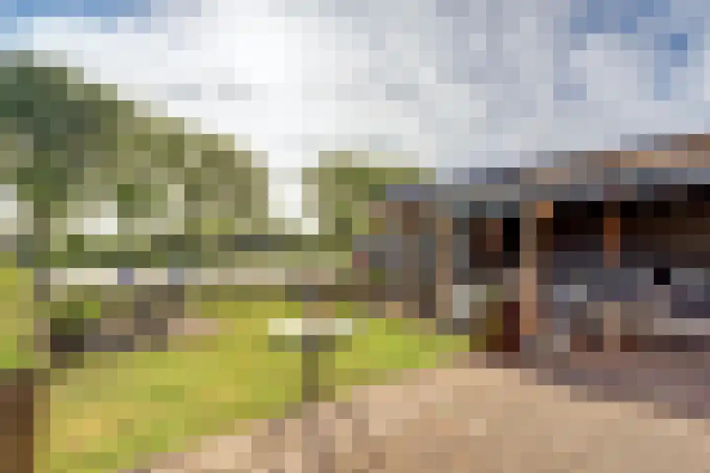 Gorinchemsestraat 77 Meerkerk thumbnail 48