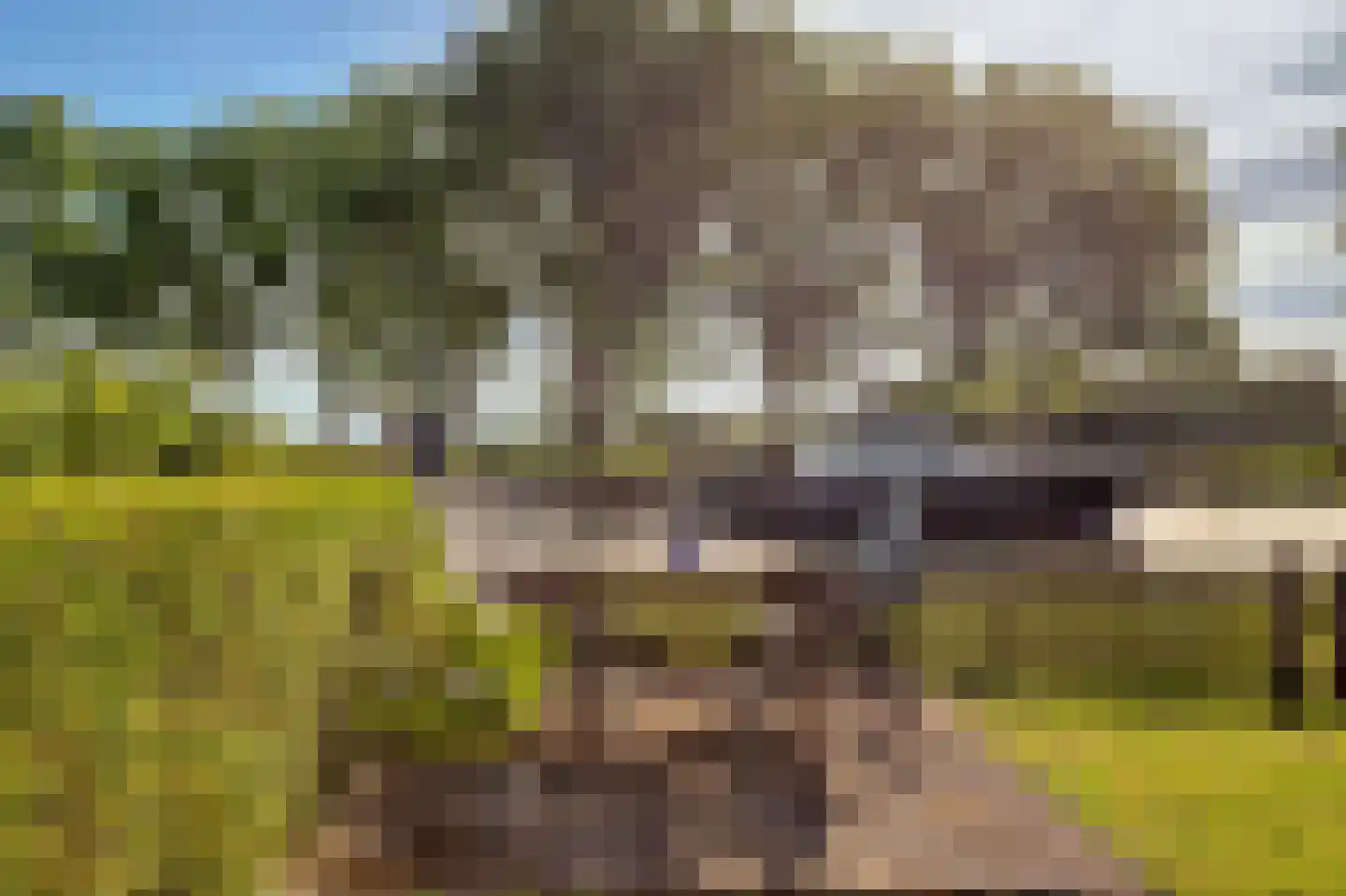 Gorinchemsestraat 77 Meerkerk thumbnail 51