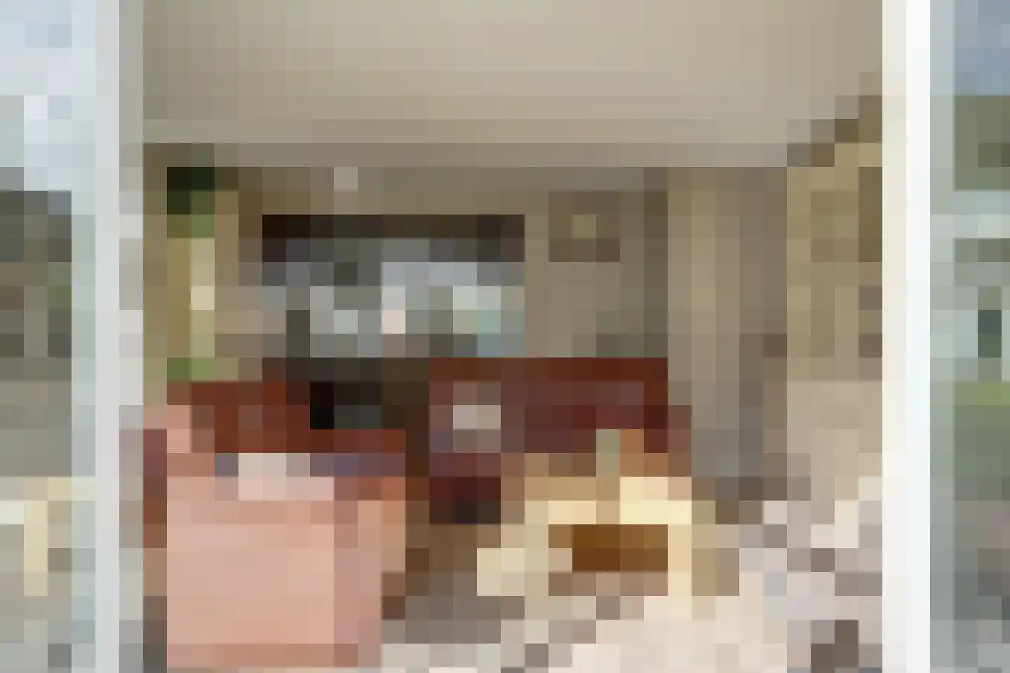 Gorinchemsestraat 77 Meerkerk thumbnail 8