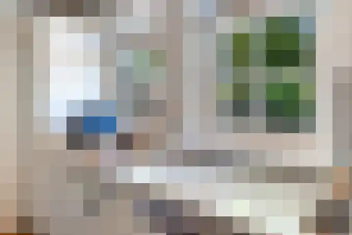 Goringbos 7 Gees thumbnail 12
