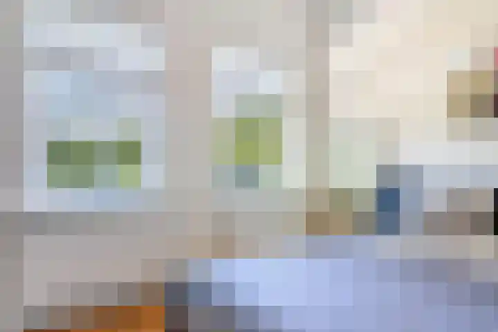 Goringbos 7 Gees thumbnail 15