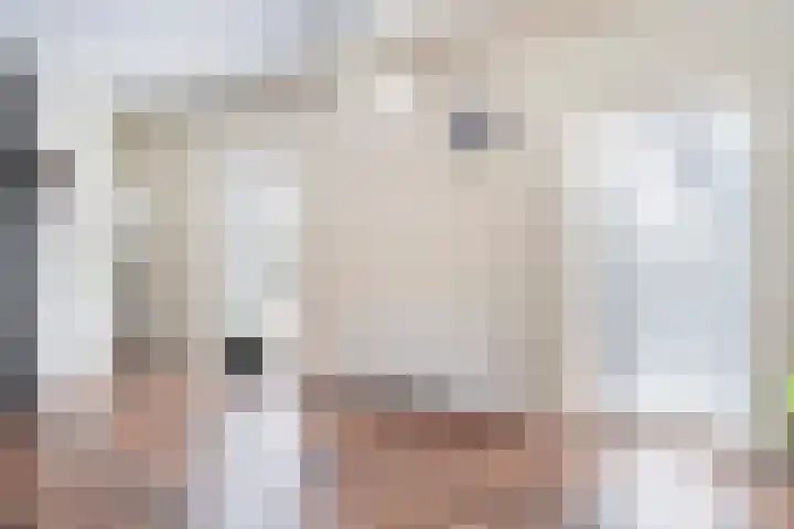 Goringbos 7 Gees thumbnail 17