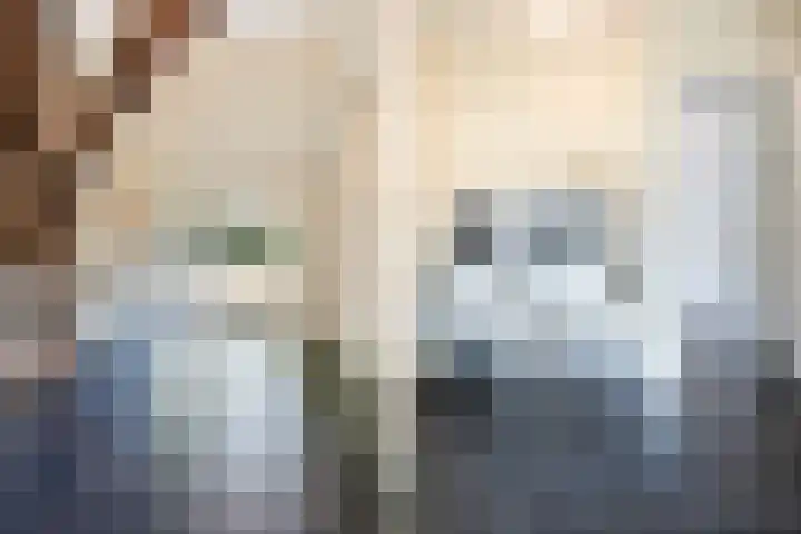Goringbos 7 Gees thumbnail 23