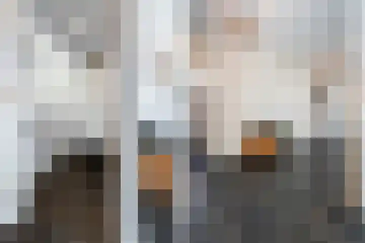 Goringbos 7 Gees thumbnail 25