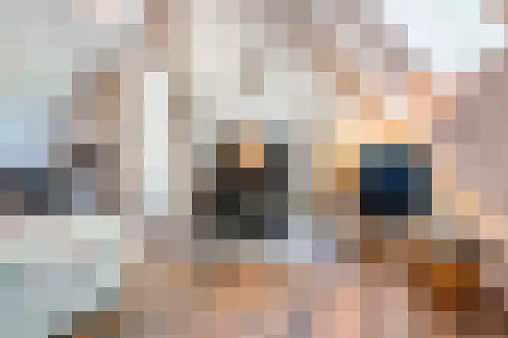 Goringbos 7 Gees thumbnail 32
