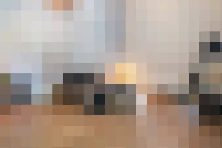 Goringbos 7 Gees thumbnail 34