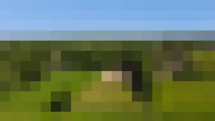 Goringbos 7 Gees thumbnail 36