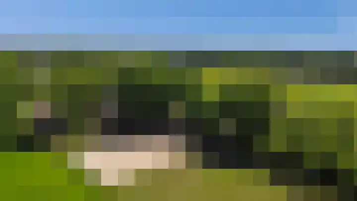 Goringbos 7 Gees thumbnail 37